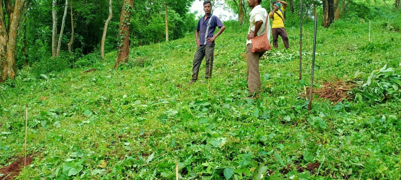 C:\Users\Lavinia Pde\AppData\Local\Microsoft\Windows\INetCache\Content.Word\IMG-20220418-WA0025.jpg